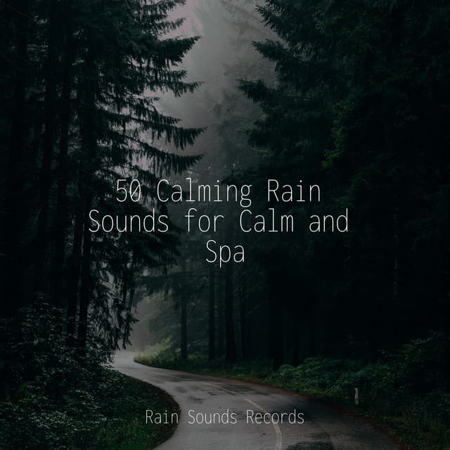 50 Calming Rain Sounds for Calm and Spa - Rain For Deep Sleep