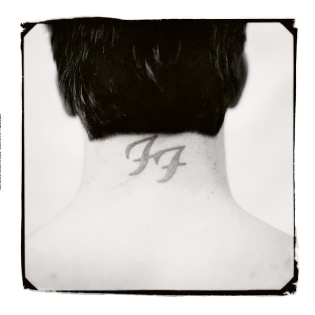 There Is Nothing Left To Lose - Foo Fighters
