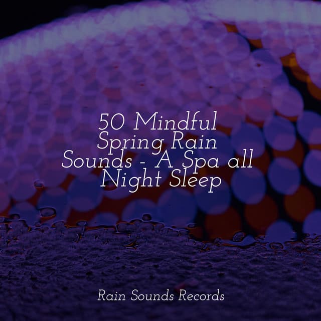 50 Mindful Spring Rain Sounds - A Spa all Night Sleep - Nature Sound Series