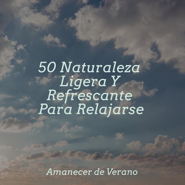 50 Naturaleza Ligera Y Refrescante Para Relajarse - Cascada de Lluvia