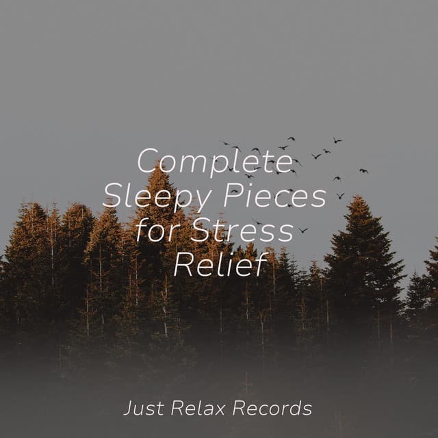 Complete Sleepy Pieces for Stress Relief - Musica para Dormir Dream House
