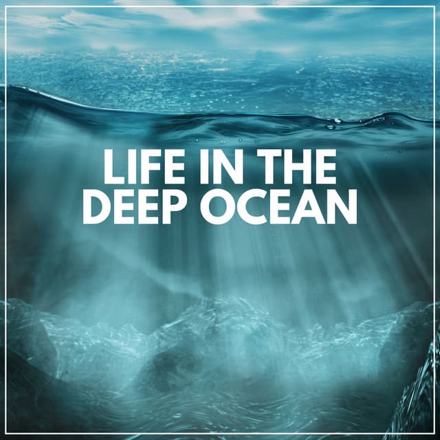 Life in the Deep Ocean - Relaxing Ocean Sounds