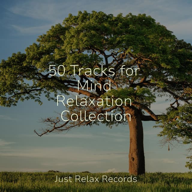 50 Tracks for Mind Relaxation Collection - Relaxed Minds