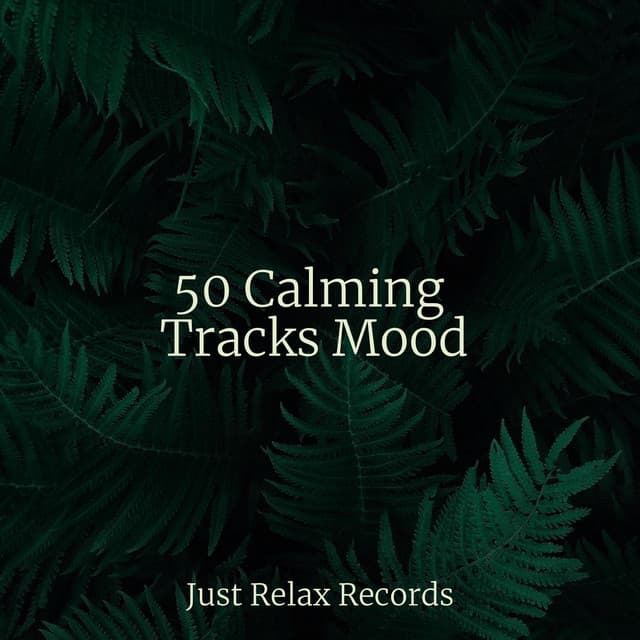 50 Calming Tracks Mood - Mantra para Dormir