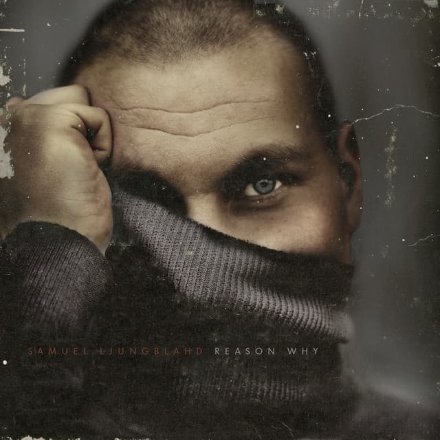 Reason Why - Samuel Ljungblahd