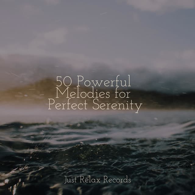 50 Powerful Melodies for Perfect Serenity - MÚSICA PARA NIÑOS
