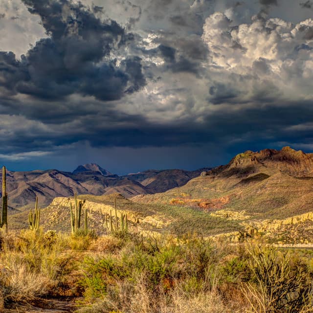 24Hr Rain: Summer Rains - 24H Rain Sounds