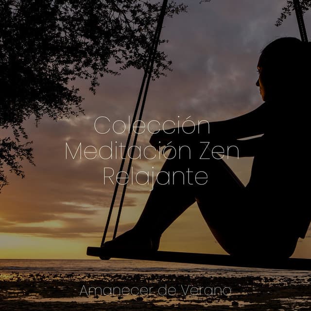 Colección Meditación Zen Relajante - Relaxing Mindfulness Meditation Relaxation Maestro