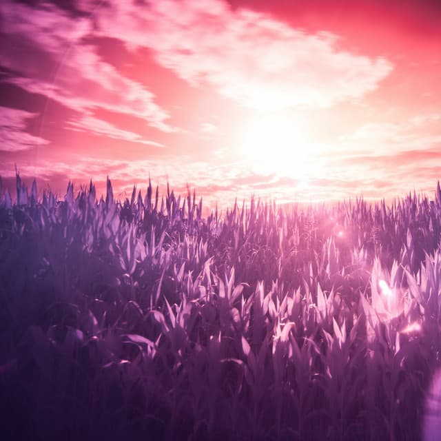 High Altitude Samples