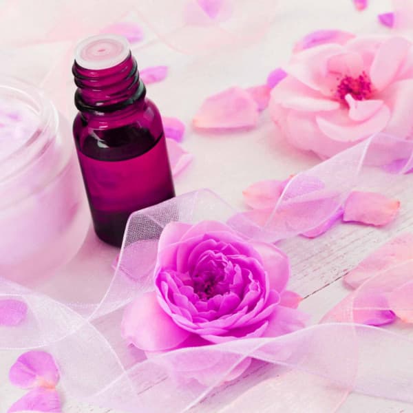 Spacious Music for Smooth Timbers - Piano Bossa Nova Duo - French Mornings