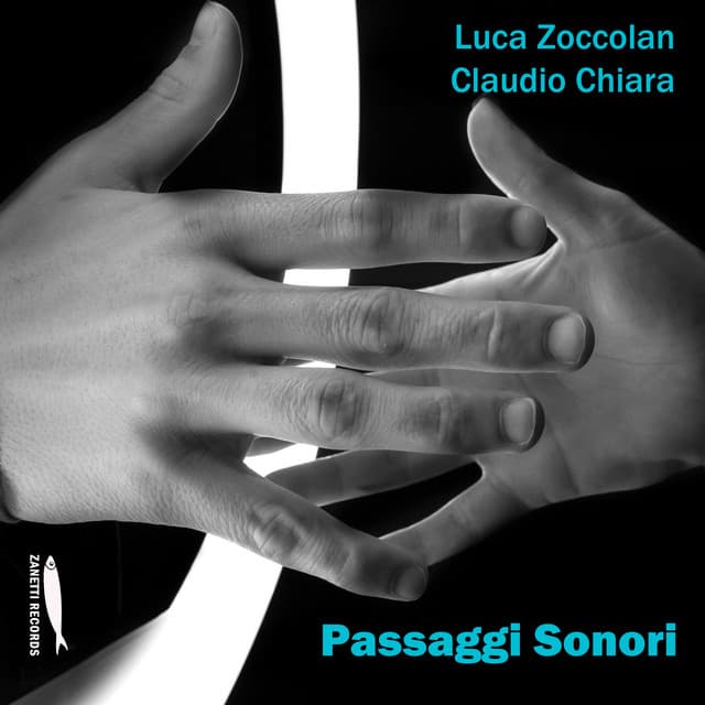 Passaggi Sonori - Luca Zoccolan