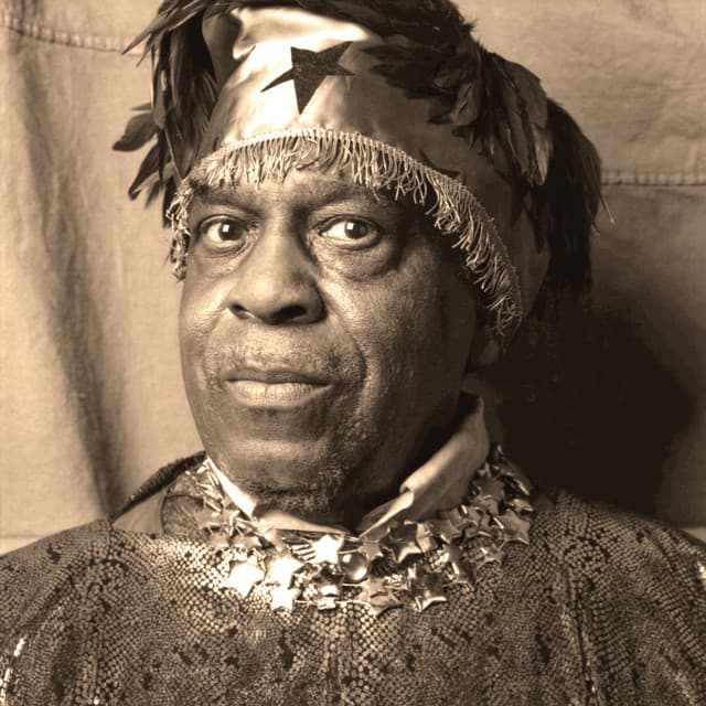 Inside The Light World: Sun Ra Meets The OVC - Sun Ra