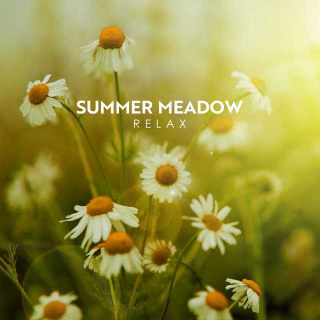 Summer Meadow Relax: Amazing Nature Sounds, Bird Songs, Brook Sounds for Relaxation - Bird Sounds