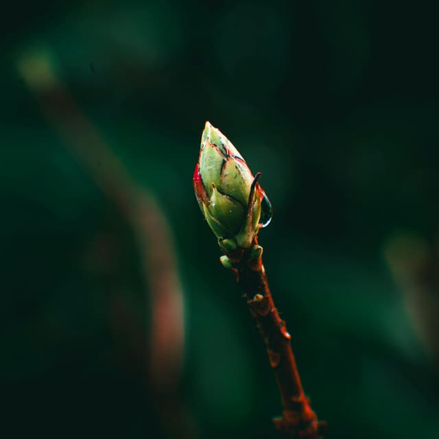 1AM Chills: Light Without End - 16 Bit Serenity