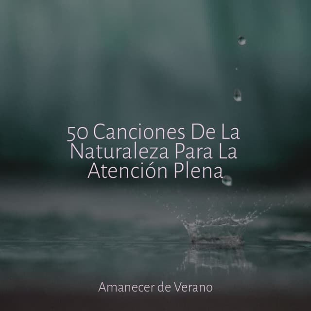 50 Canciones De La Naturaleza Para La Atención Plena - Relaxing Music