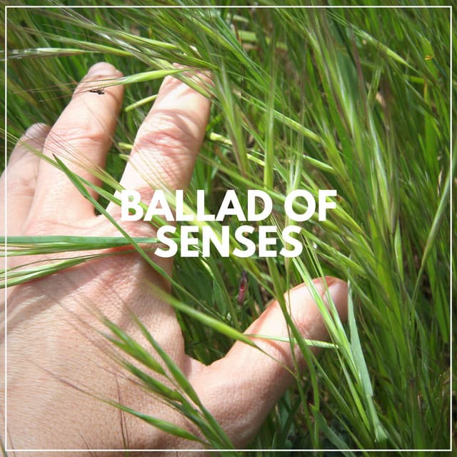 Ballad of Senses - The Solfeggio Peace Orchestra