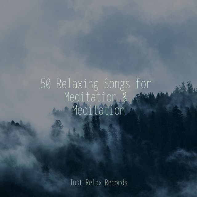 50 Relaxing Songs for Meditation & Meditation - CANCIONES DE CUNA