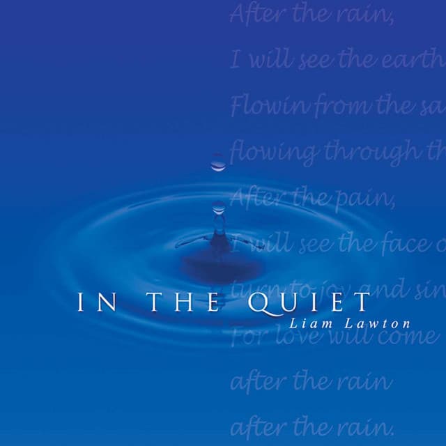 In the Quiet - Liam Lawton