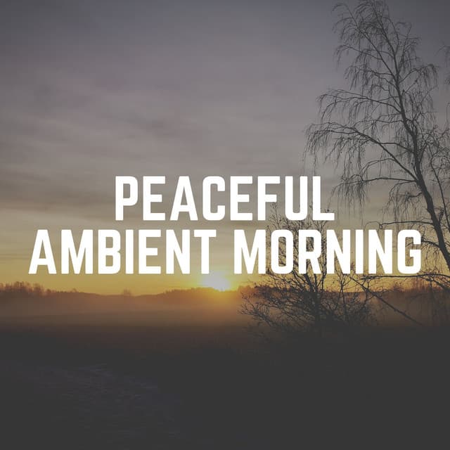 Peaceful Ambient Morning - Tranquility Spree