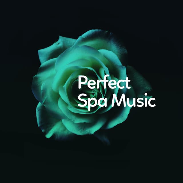 Perfect Spa Music - Relaxing Spa Music