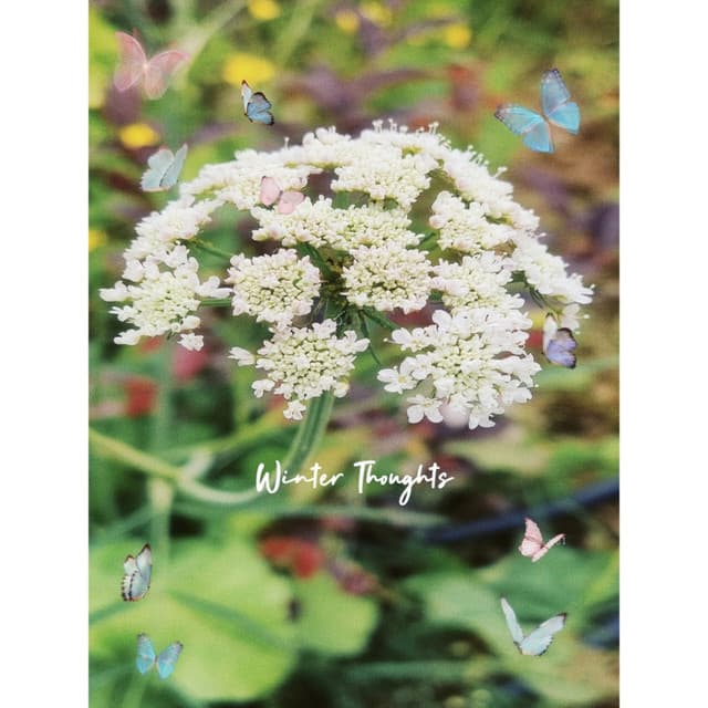 Winter Thoughts - Relaxing Piano Music Consort