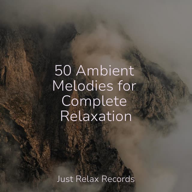 50 Ambient Melodies for Complete Relaxation - Yoga Namaste