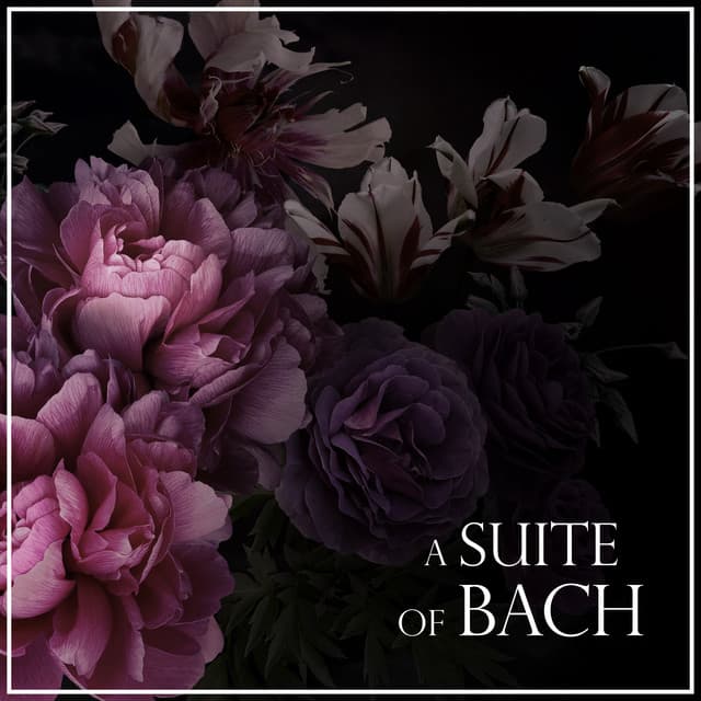 A Suite of Bach - Johann Sebastian Bach