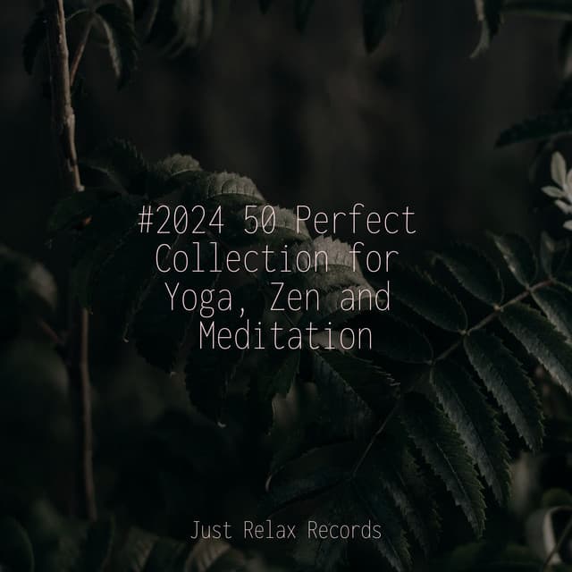 #2024 50 Perfect Collection for Yoga, Zen and Meditation - Guided Meditation