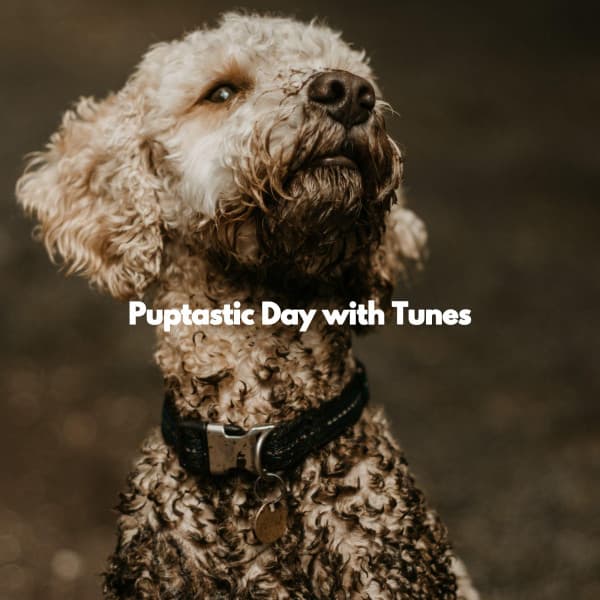 Puptastic Day with Tunes - Gentle Morning Music