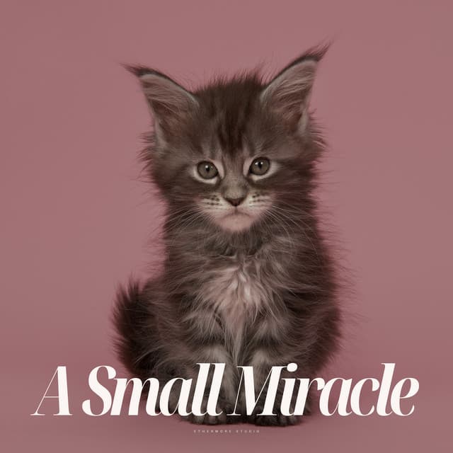 A Small Miracle - Pets Total Relax