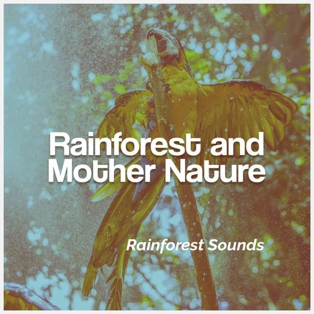 Rainforest and Mother Nature - Rainforest Sounds