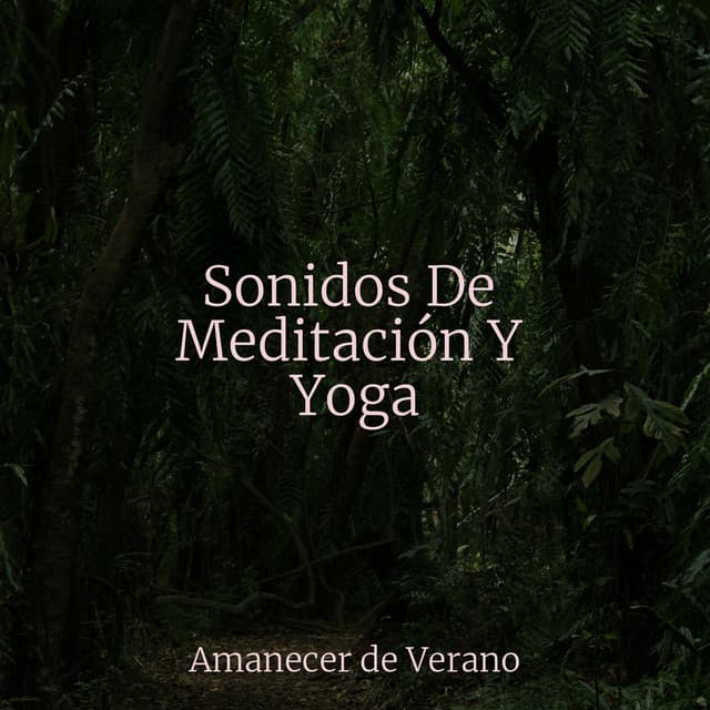 Sonidos De Meditación Y Yoga - Música relaxante