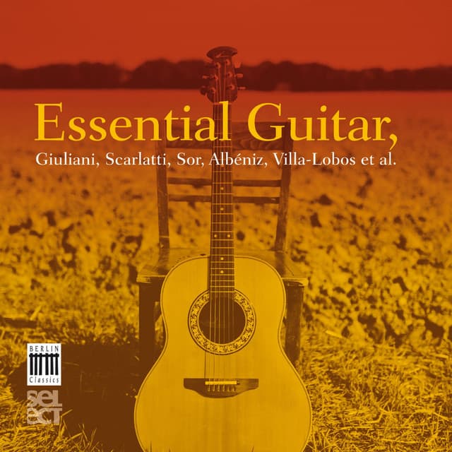 Essential Guitar - Claudio Maccari