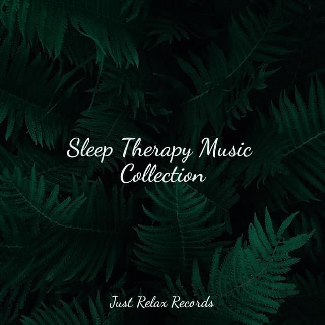 Sleep Therapy Music Collection - Healing Yoga Meditation Music Consort