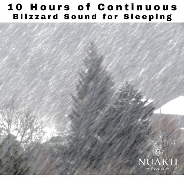 10 Hours of Blizzard Sound for Sleeping - Sleep Sounds of Nature