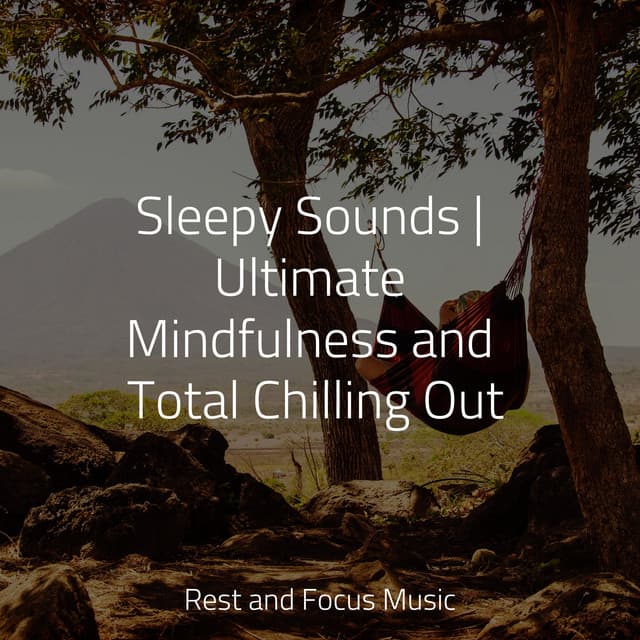 Sleepy Sounds | Ultimate Mindfulness and Total Chilling Out - Yoga Music