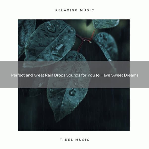 2020 Best: Perfect and Great Rain Drops Sounds for You to Have Sweet Dreams - Nature & Rainforest Sounds Collective