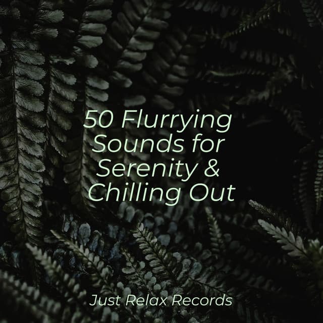 50 Flurrying Sounds for Serenity & Chilling Out - Powerthoughts Meditation Club