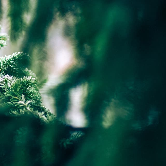 50 White Noise For Nightime: Whispers - White Noise for Babies