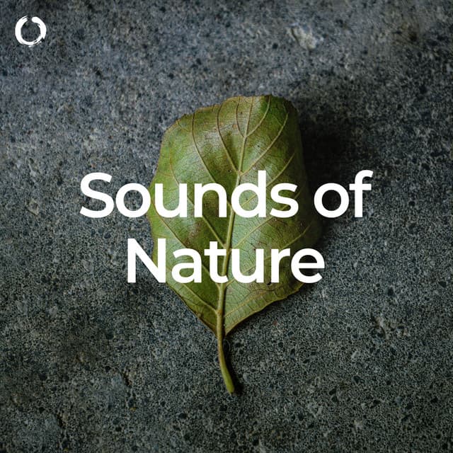 Sounds of Nature: Deep Sleep - Nature Calm