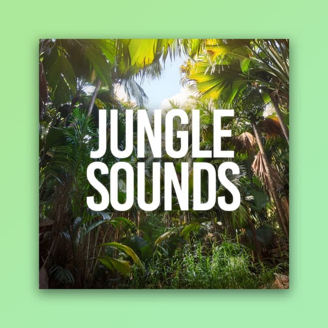 Jungle Sounds - Relaxing Music Therapy