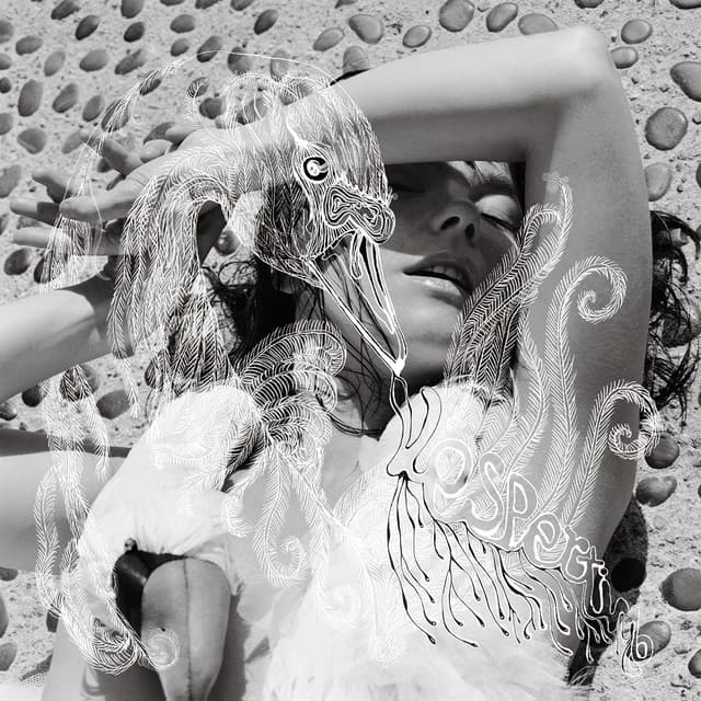 Vespertine - Björk