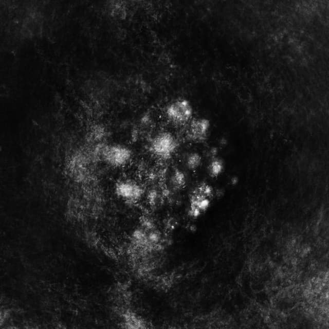 Synecdoche - SaffronKeira