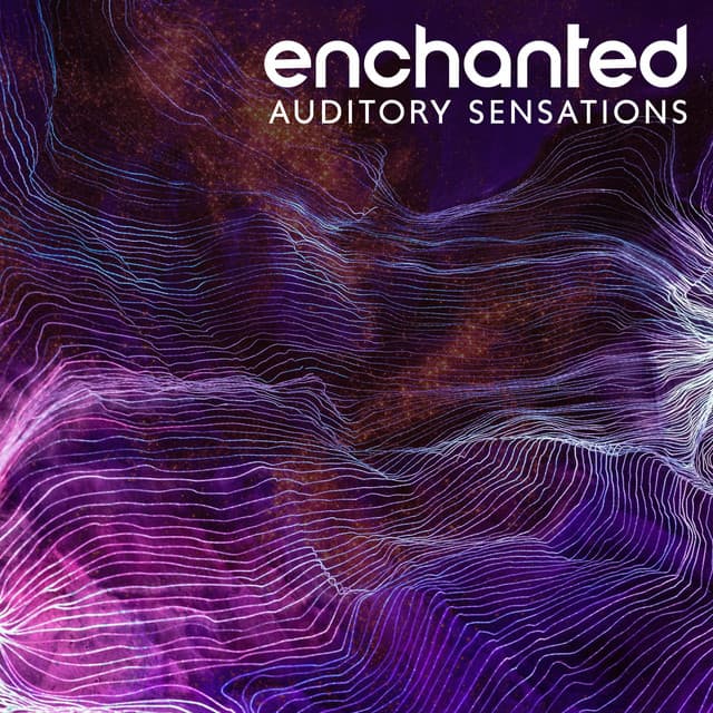 Enchanted Auditory Sensations: Relaxation Meditation - Meditation Music Club