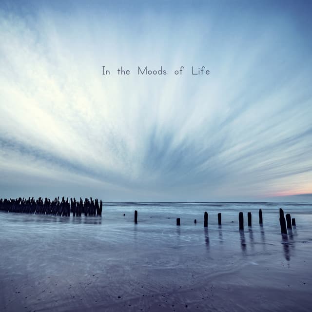 In the Moods of Life - Elevator Music
