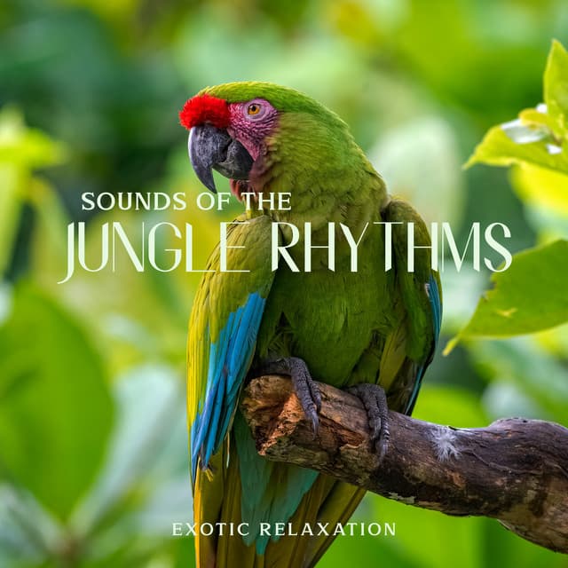 Sounds of the Jungle Rhythms: Exotic Relaxation - Exotic Area Zen