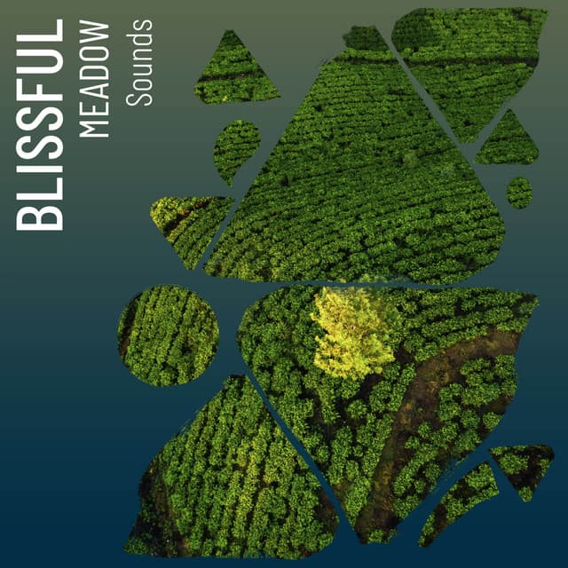 Blissful Meadow Sounds - Rest & Relax Nature Sounds Artists