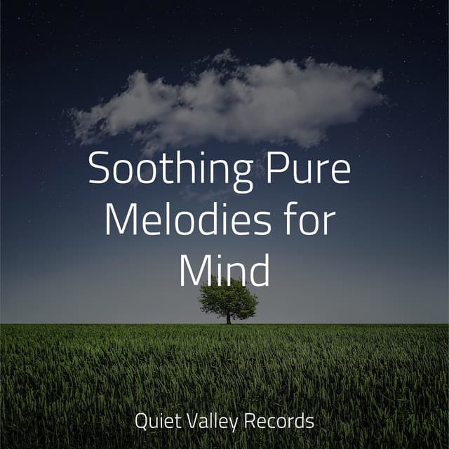 Soothing Pure Melodies for Mind - Ambient Rain