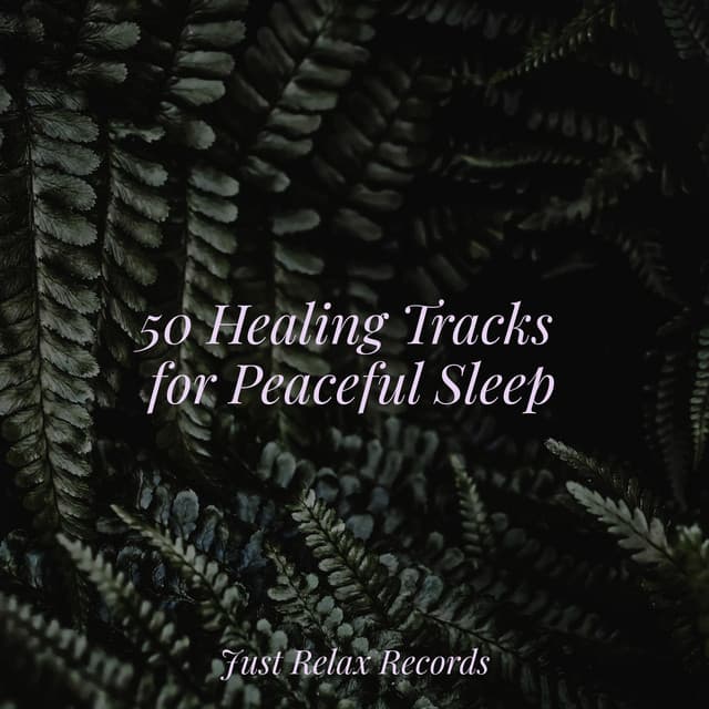 50 Healing Tracks for Peaceful Sleep - Shakuhachi Sakano