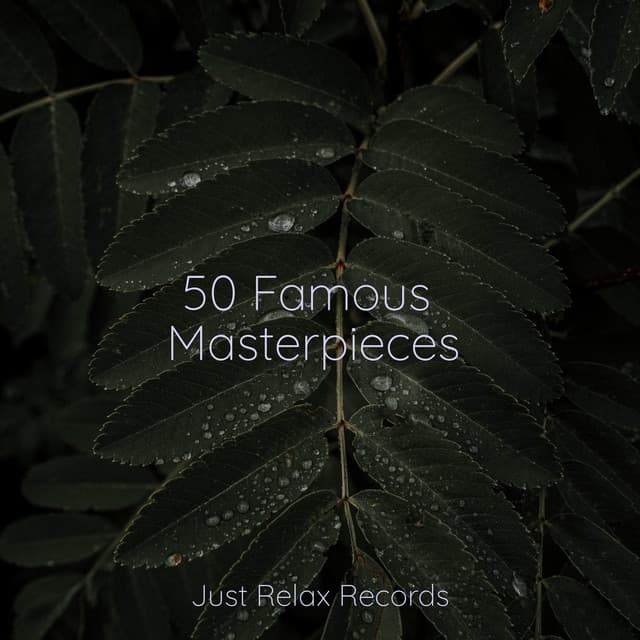 50 Famous Masterpieces - Brain Study Music Guys